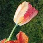 Everything from tin can art to quilts to oil on this week’s Gallery Walk in Port Townsend