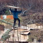 A volunteer carries cardboard to the stream bank where workers installed a continuous half mile of cardboard and live native shrub stakes to smother invasive, non-native reed canary grass and re-establish a forest buffer zone to benefit fish and wildlife. (Connie Gallant)