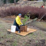 PHOTO GALLERY: Plant-a-thon at Tarboo Reserve