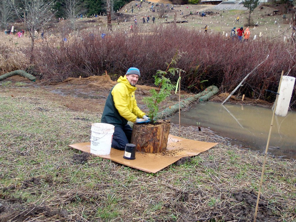 PHOTO GALLERY: Plant-a-thon at Tarboo Reserve