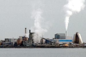 Mill official: Nippon has pared down production