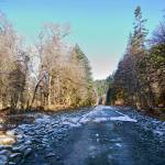 The Elwha River washed out this section of Olympic Hot Springs Road after it flowed through the former Elwha Campground on Feb. 16. (Jesse Major/Peninsula Daily News)