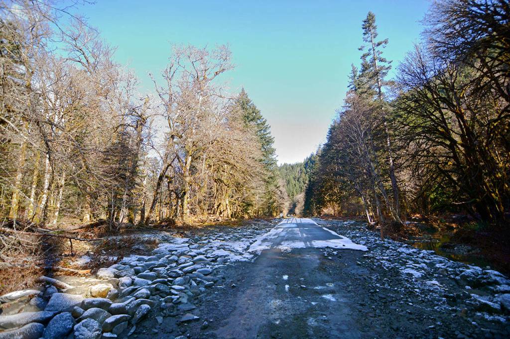 The Elwha River washed out this section of Olympic Hot Springs Road after it flowed through the former Elwha Campground on Feb. 16. (Jesse Major/Peninsula Daily News)