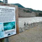 Wild river creates hurdles for visitors, but freed Elwha now a better home for fish
