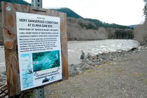 Wild river creates hurdles for visitors, but freed Elwha now a better home for fish