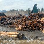 Port official: Tests show no hydraulic oil spill at Port Angeles log yard