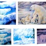 Reiko Yamaguchi Barclay&rsquo;s &ldquo;Polar Bear illustrations&rdquo; will be displayed at the Museum and Arts Center during First Friday Art Walk in Sequim tonight.