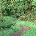 First Friday Art Walk Sequim nurtures nature’s bounty