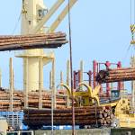 Firm details timber harvest management options for Clallam officials