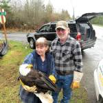Jaye Moore of the Northwest Raptor & Wildlife Center, with her husband, Raptor Center volunteer Gary Moore, cradles an eagle shortly after it was electrocuted by a power line Sunday and fell from the power pole. (Clallam County Sheriff&rsquo;s Office)