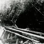 A Log bridge is shown near Brinnon in the 1890s. The loggers&rsquo; identities are unknown. (Jefferson County Historical Society)