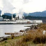 The Western Port Angeles Harbor Group is planning a restoration pilot study that includes placing a 6-inch layer of clean sand on a 4,500-square-foot stretch of shallow subtidal area on the inside of Ediz Hook. (Jesse Major/Peninsula Daily News)​