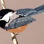 A painting of a chickadee by Phil Carrico will be shown at the Port Townsend Gallery on Saturday during Gallery Walk.