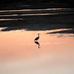 Oak Bay Campground will have over 20 sites available this year and is one of four campgrounds that opened in Jefferson County on April 1. All of the campgrounds will be available with no reservations needed. (Jefferson County Parks and Recreation)