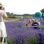 Sequim, Port Townsend in Top 10 of online contest for best Northwestern small town