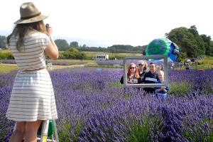 Sequim, Port Townsend in Top 10 of online contest for best Northwestern small town