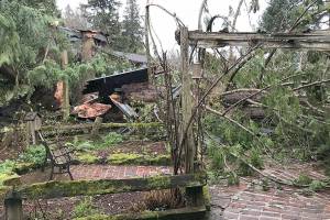 Wind slams east, west Peninsula; most power restored Saturday