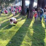 Children and their parents swarm through the Clallam County Fairgrounds in Port Angeles in search of Easter eggs during last year&rsquo;s KONP egg hunt. About 1,700 prize-filled eggs were scattered around the wooded grove, with additional prizes given away to randomly selected families who registered for the event. (Keith Thorpe/Peninsula Daily News)