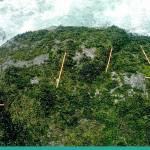 Dog team searches Sol Duc area for missing hiker