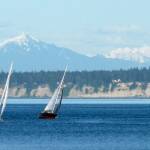 Sailboats take over Port Townsend Bay on Friday for the second weekly sailboat race, which kicks off spring racing season. (Cydney McFarland/Peninsula Daily News)