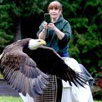 Jaye Moore, executive director of the Northwest Raptor and Wildlife Center, watches on as Sparky, a bald eagle that was electrocuted last month, is released into the wild Saturday evening. (Debbie Schouten)