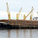 The New Face, a Panamanian cargo ship, carries logs in Port Angeles destined for export. Port of Port Angeles officials are concerned a proposed 20 percent tariff on Canadian soft lumber imports could affect local timber exports. (Jesse Major/Peninsula Daily News)