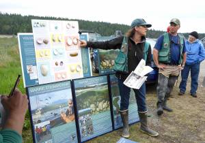 Jefferson Marine Resources Committee                                 State Department of Fish and Wildlife biologist Camille Speck explains types of clams to attendees of the 2016 Digging for Dinner shellfish harvesting clinic in Jefferson County.