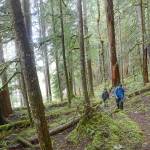 Dani Campbell and Randy Gray search near the Sul Duc River on Wednesday for Gray&rsquo;s son, Jacob Gray, an avid outdoorsman who disappeared in Olympic National Park on April 6. (Jesse Major/Peninsula Daily News)