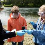 Cydney McFarland (2)/Peninsula Daily News                                 Blue Heron eighth-graders Odin Smith, Andru Goodlin and Gracie Hoffman study water samples taken from the south end of Indian Island for a class project Thursday. Below, Olivia Mattern documents the finding of her group&rsquo;s phosphate test on the water.