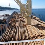 A pile of debarked logs on the deck of New Face as seen from the ship&rsquo;s bridge. (Dave Sellars/for Peninsula Daily News)