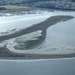 European green crabs have been found in the estuary on Graveyard Spit along the Dungeness Spit. (Lorenz Sollmann/Washington Maritime National Wildlife Refuge Complex)