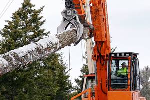 Thinning forests aims to reduce fire risk on conservation group’s land