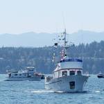 Boats of all shapes and sizes turned out last year for the annual boat parade, which kicks off the Port Townsend Yacht Club boating season. (Port Townsend Yacht Club)