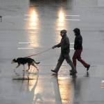 A pair of pedestrians and their dog cross Laurel Street at Front Street on a rainy day in April in downtown Port Angeles. (Keith Thorpe/Peninsula Daily News)
