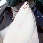 OUTDOORS: Halibut anglers hope for extra days on the water
