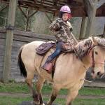 HORSEPLAY: Shedding season has arrived