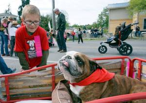 Zach Weins, then 8, admires Sparky the pug at the Rhododendron Festival&rsquo;s Pet Parade in Port Townsend last year. (Peninsula Daily News)