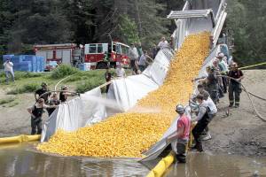 Quacking up: Rubber ducks to float to victory on Sunday