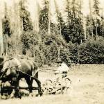 Sam Clements is seen plowing a field in an unkown year. (Jefferson County Historical Society)
