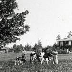 The home of Arthur A. Brown in shown in Brinnon in 1919. Mrs. Brown and a hired man are in foreground with Capt. Samuel Clements&rsquo; house in the distance on the left. (Jefferson County Historical Society)