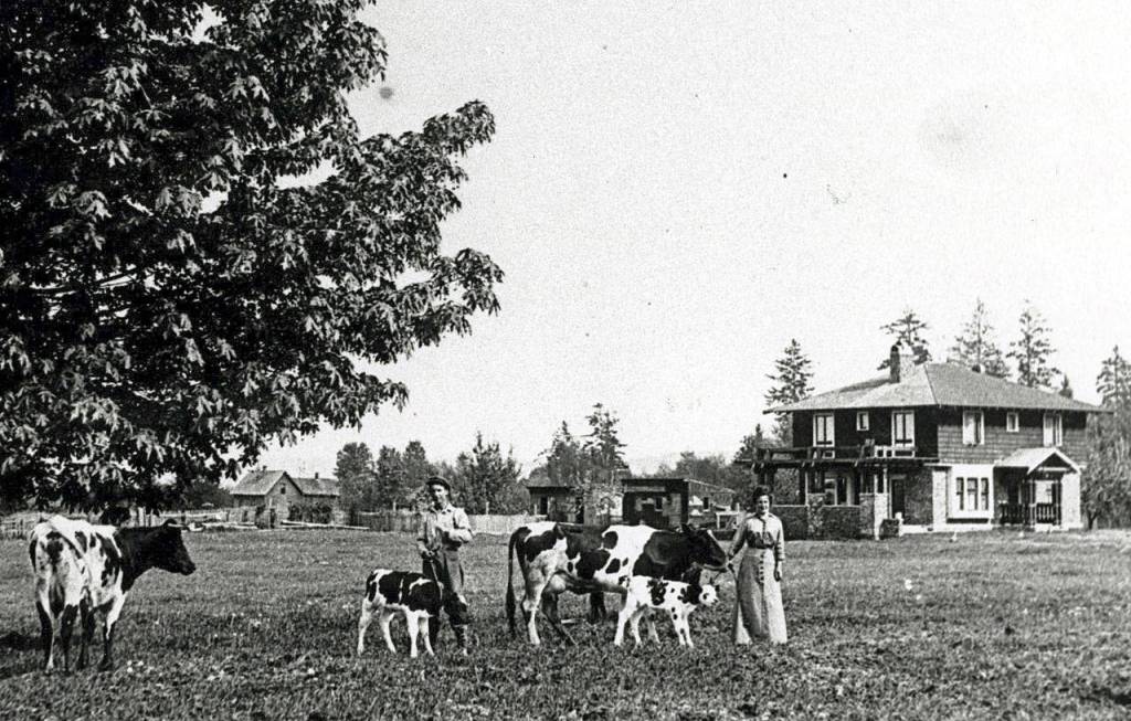 The home of Arthur A. Brown in shown in Brinnon in 1919. Mrs. Brown and a hired man are in foreground with Capt. Samuel Clements&rsquo; house in the distance on the left. (Jefferson County Historical Society)