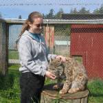 Gary and Suzanne Brooks said their daughter Jessica&rsquo;s love for animals started around age 11 when she began caring for local sheep and other farm animals. She began volunteering at Sequim Animal Hospital at age 14 and began college at 17 with the intent to become a veterinarian. (Brooks family)