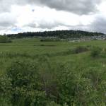 Developer looks to bring 103 homes to Sequim subdivision