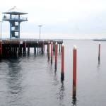 Pilings that once supported temporary moorage docks stand empty at Port Angeles City Pier as they await new dock sections. (Keith Thorpe/Peninsula Daily News)