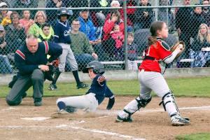 YOUTH BASEBALL AND SOFTBALL CHAMPIONSHIPS: Lions repeats as Cal Ripken champs … other title game recaps