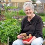 Master Gardener Muriel Nesbitt will discuss growing potatoes from seed on Thursday. (Amanda Rosenberg)