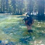 In this June 15 photo, Jake Gustafson crosses wading chest-deep in still waters with his backpack over his head at Evolution Creek along the Pacific Crest Trail near Kings Canyon National Park, Calif. (Wesley Tils via AP)