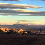 Joe Krenowicz, executive director of the Madras-Jefferson County Chamber of Commerce, looks toward Mount Jefferson as the sun rises over Madras, Ore., on June 13. (Gillian Flaccus/The Associated Press)