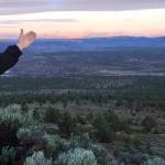 Joe Krenowicz, executive director of the Madras-Jefferson County Chamber of Commerce, gestures toward Mount Jefferson as the sun rises over Madras, Ore., on June 13. (Gillian Flaccus/The Associated Press)