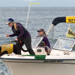 In this 2012 photo provided by the University of Washington, researchers use a trained dog to sniff for orca scat in the Salish Sea in Washington state. (Jane Cogan/University of Washington via AP)